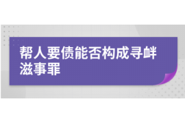 当阳当阳的要账公司在催收过程中的策略和技巧有哪些？